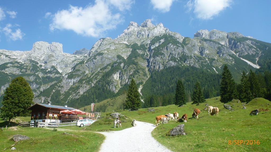 Appartement Ginschel Altenmarkt im Pongau Buitenkant foto